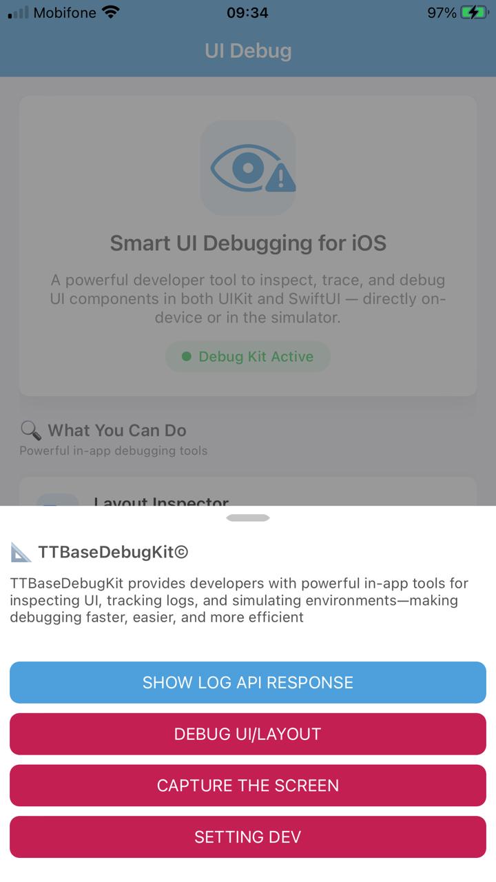 UI Debug — Layout inspector, API logger, screen capture
